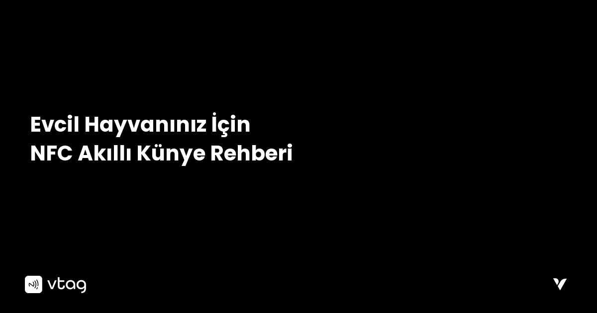 Evcil Hayvanınız İçin NFC Akıllı Künye Rehberi